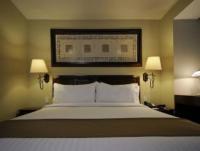 Holiday Inn Hotel & Suites Mexico Zona Rosa